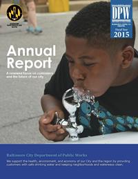 DPW Annual Report FY 2015